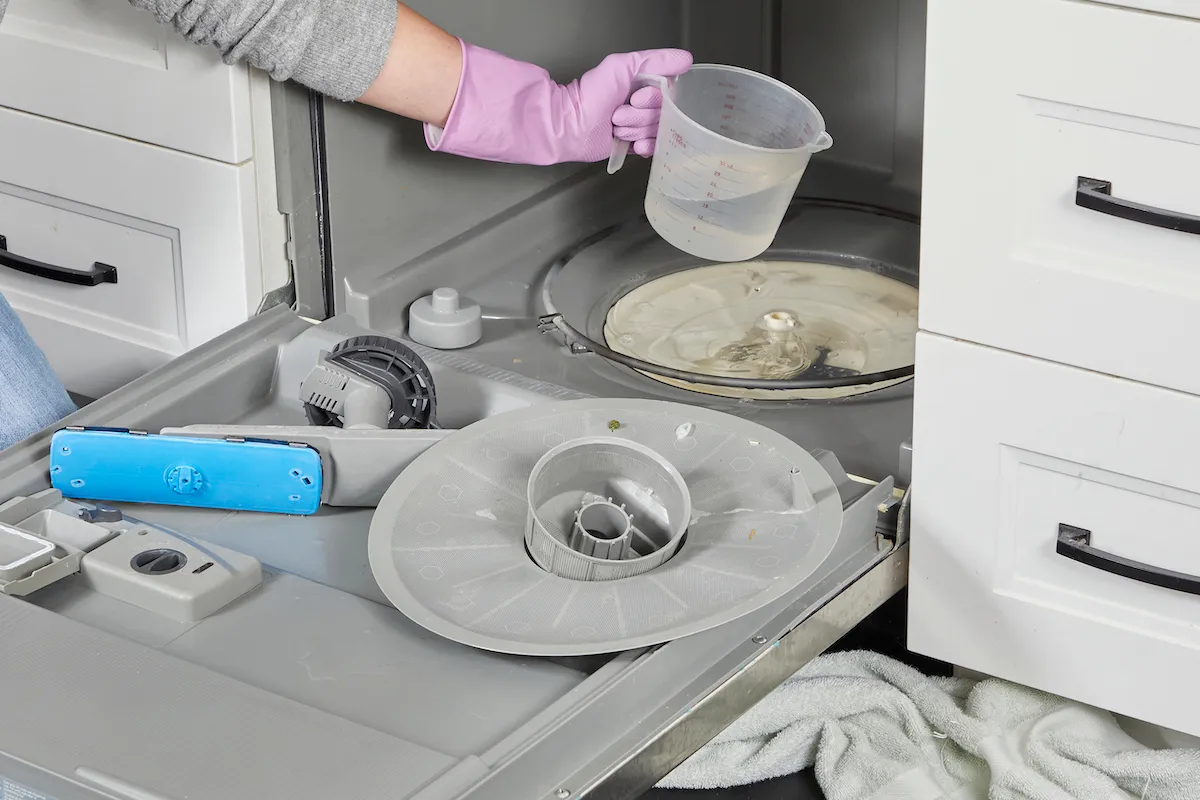 Dishwasher Not Draining