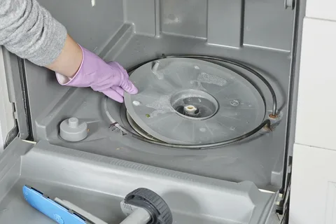 Dishwasher That Won’t Drain